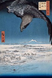 Eagle Over 100 000 Acre Plain At Susaki Fukagawa Juman Tsubo