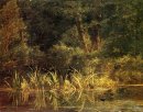 Escena del río con Golondrinas