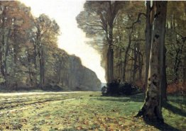 The Pave De Chailly In The Forest