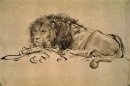 Lion Ruhe 1652