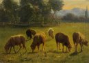 Овцы в пейзаже