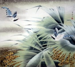 Birds - Chinese Painting