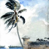 Une brise tropicale , Nassau