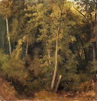 Paysage de forêt