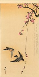 Cherry blossom with birds