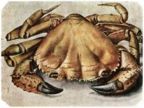 homard 1495 1