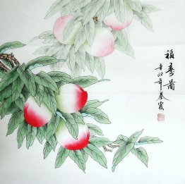 Peach - Chinese Painting