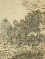 Alberi di pino vicino alla parete di The Asylum 1889 2