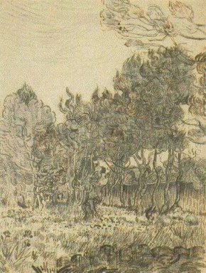 Pohon Pinus Dekat The Wall Of The Asylum 1889 2