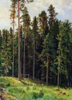 Forest 1892