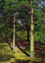 Il Sole Lit Pines 1886