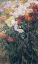 Sood Aerde chrysanten Tuin van Petit Gennevilliers