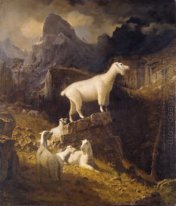 rocky mountain goats 1885