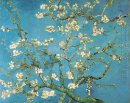 Branches avec Almond Blossom