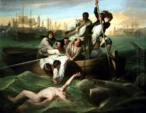 Watson And The Shark 1782