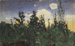 wild grass 1875