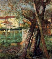 Campagna Con Alberi 1908