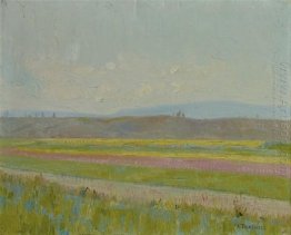 Spring Landscape