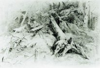 Wind Fallen Trees 1867