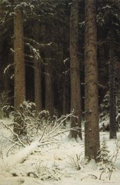 Fir Forest In Winter 1884 Fir Forest In Winter 1884