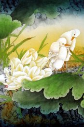 Lotus - Chinese Painting