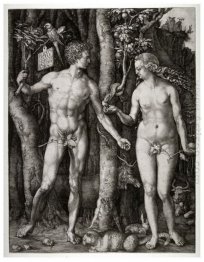 adam and eve 1504 1