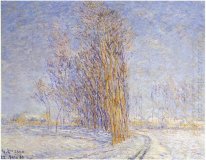 Landscape in Snow