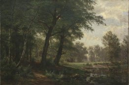 Forest Landscape With Stream