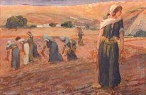 Gleaners As In Deuteronomy