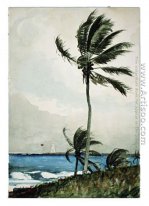  Palm, Nassau
