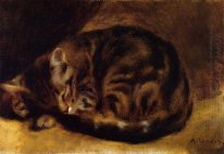 Sova katten 1862