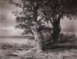 oaks on the shore 1867