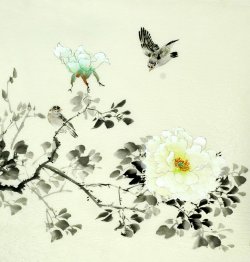 Birds&Flowers - Chinese Painting