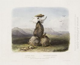 Magic Pile Erected by the Assiniboin Indians, plate 15 from Volu