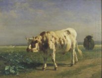 The white bull