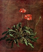 Study For Poppies