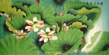 Lotus - pintura chinesa