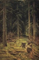 Coniferous Forest 1873