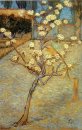 Pear albero in fiore 1888