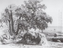 Oak On The Shore Of The Gulf Of Finland 1857