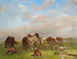 A group of horses, Saltholmen