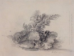 fern leaves and burdock 1854