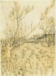 Orchard With Arles In The Background 1888