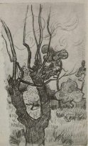 A Bare arboricole dans le jardin de l'asile 1889