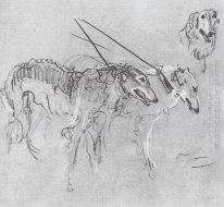 Greyhounds Royal Hunting 1901