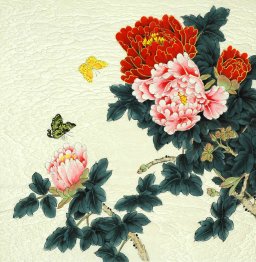 Peony - Chinese Painting