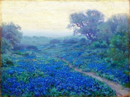 Bluebonnets at Sunrise