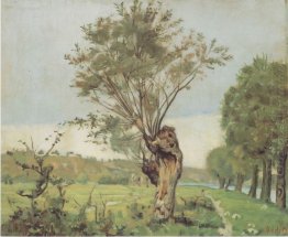 Pastures At The Jonction At Geneva 1878