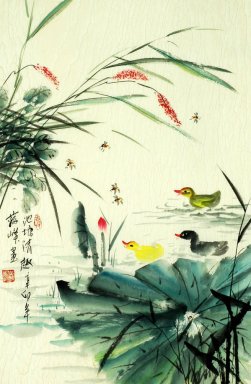 Lotus - peinture chinoise