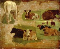 Étude de vaches